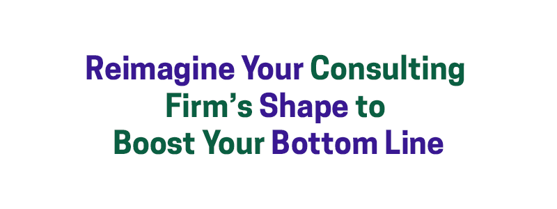 Reimagine Your Consulting Firm’s Shape to Boost Your Bottom Line – David A. Fields Consulting Group