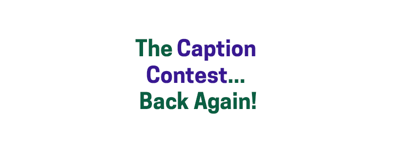 The Caption Contest… Back Again! – David A. Fields Consulting Group